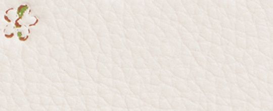 COACH®,Long Zip Around Wallet With Floral Print,Cream,Front View