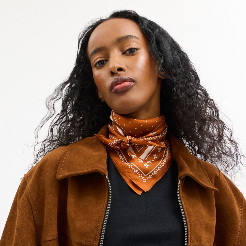 COACH®,Horse And Carriage Dot Print Silk Bandana,Silk,Bandana,Pattern,Casual,,Detail View