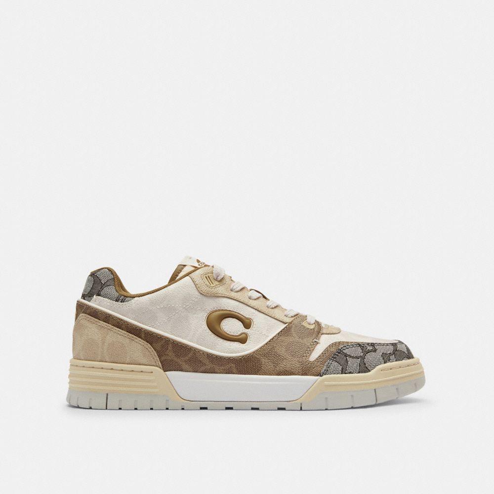 Coach In Multi