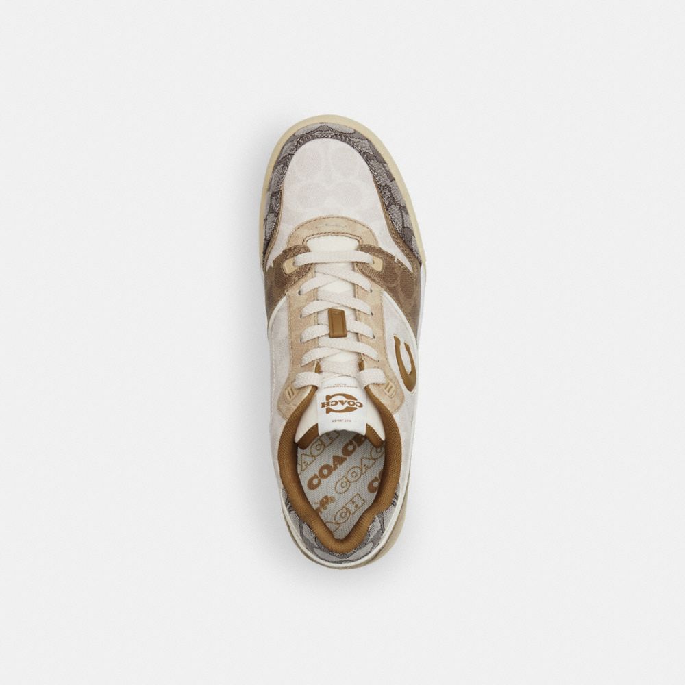 Coach In Multi