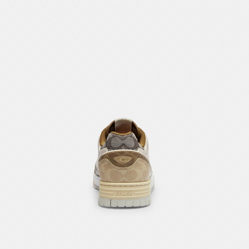 Coach In Multi