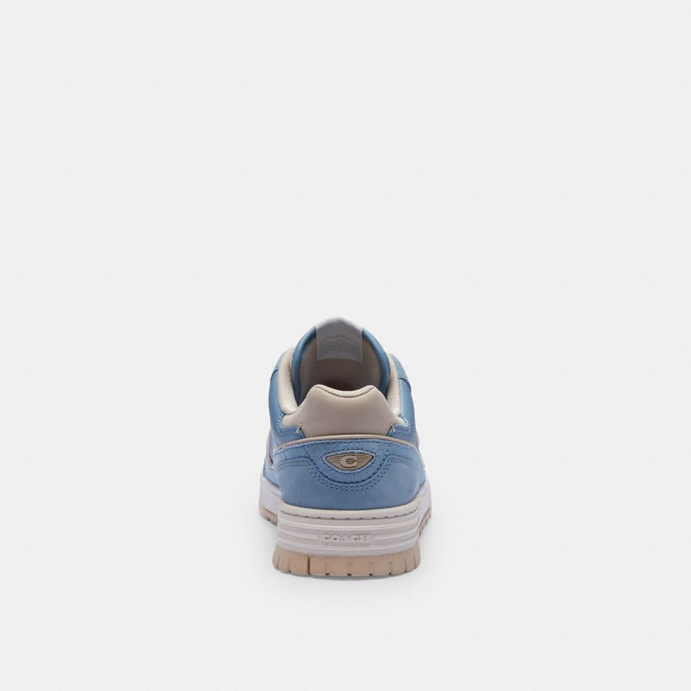 Coach In Bluebell