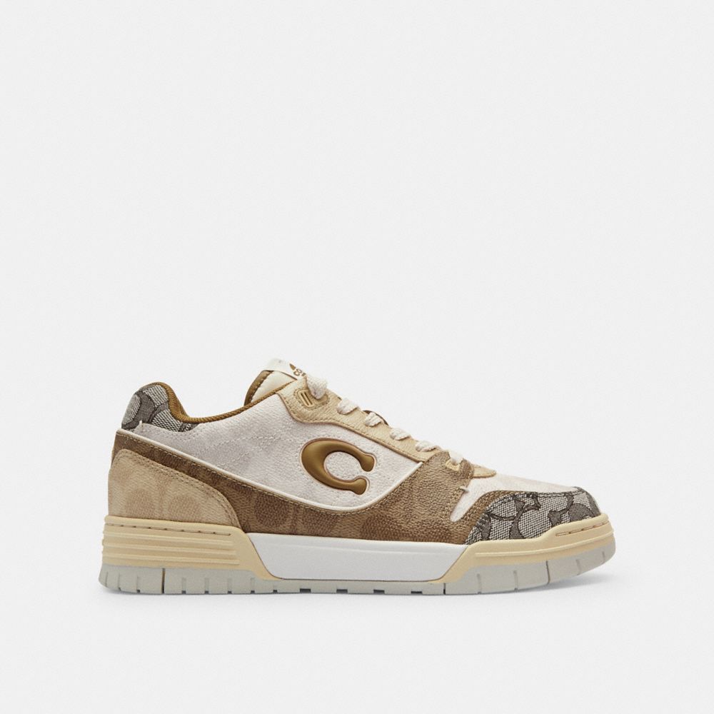 Coach In Multi