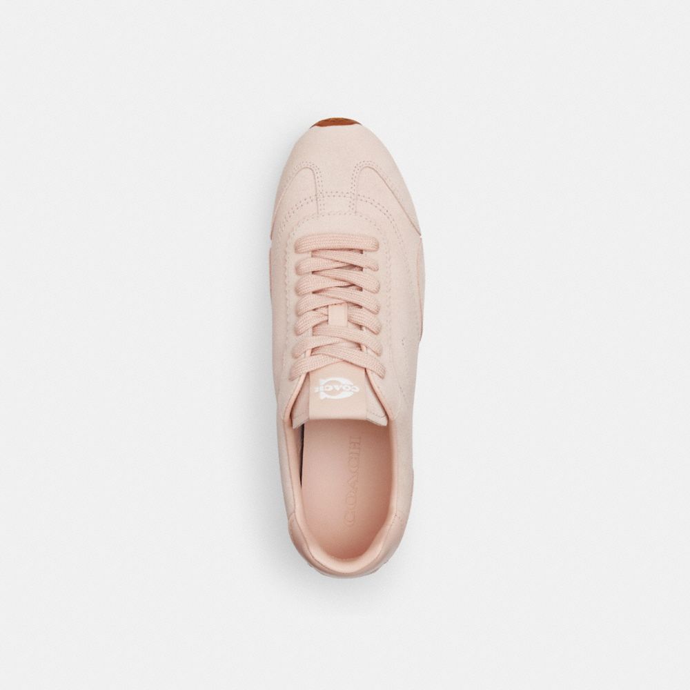 Coach In Blush