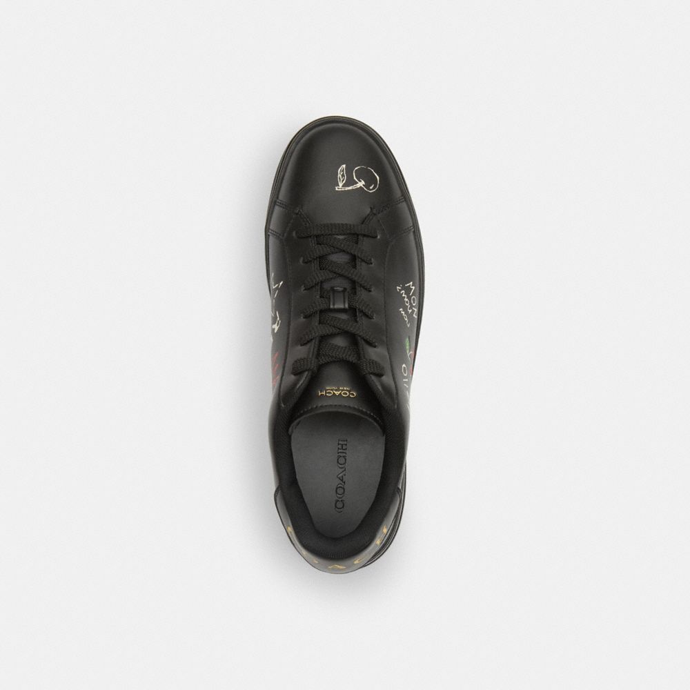 Coach In Black