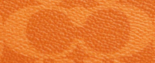 COACH®,Corner Zip Wristlet In Signature Canvas,Wristlet,Pouch,Plastic,Casual,Orange