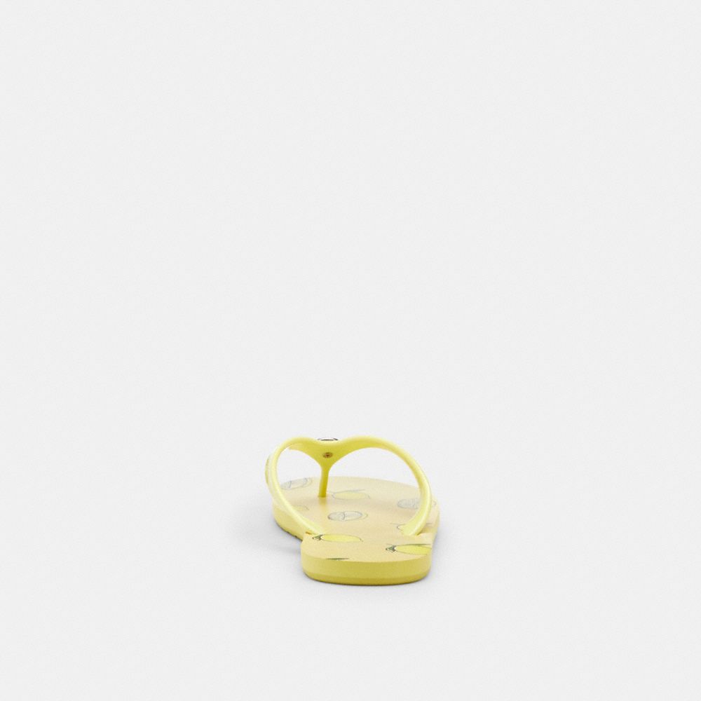 COACH®,Zayn Flip Flop With Fruit Print,,Alternate View