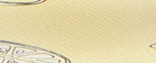 COACH®,Zayn Flip Flop With Fruit Print,Rubber,Flip Flops,Disc,Logo,Metal,Pull Tab,Casual,Yellow