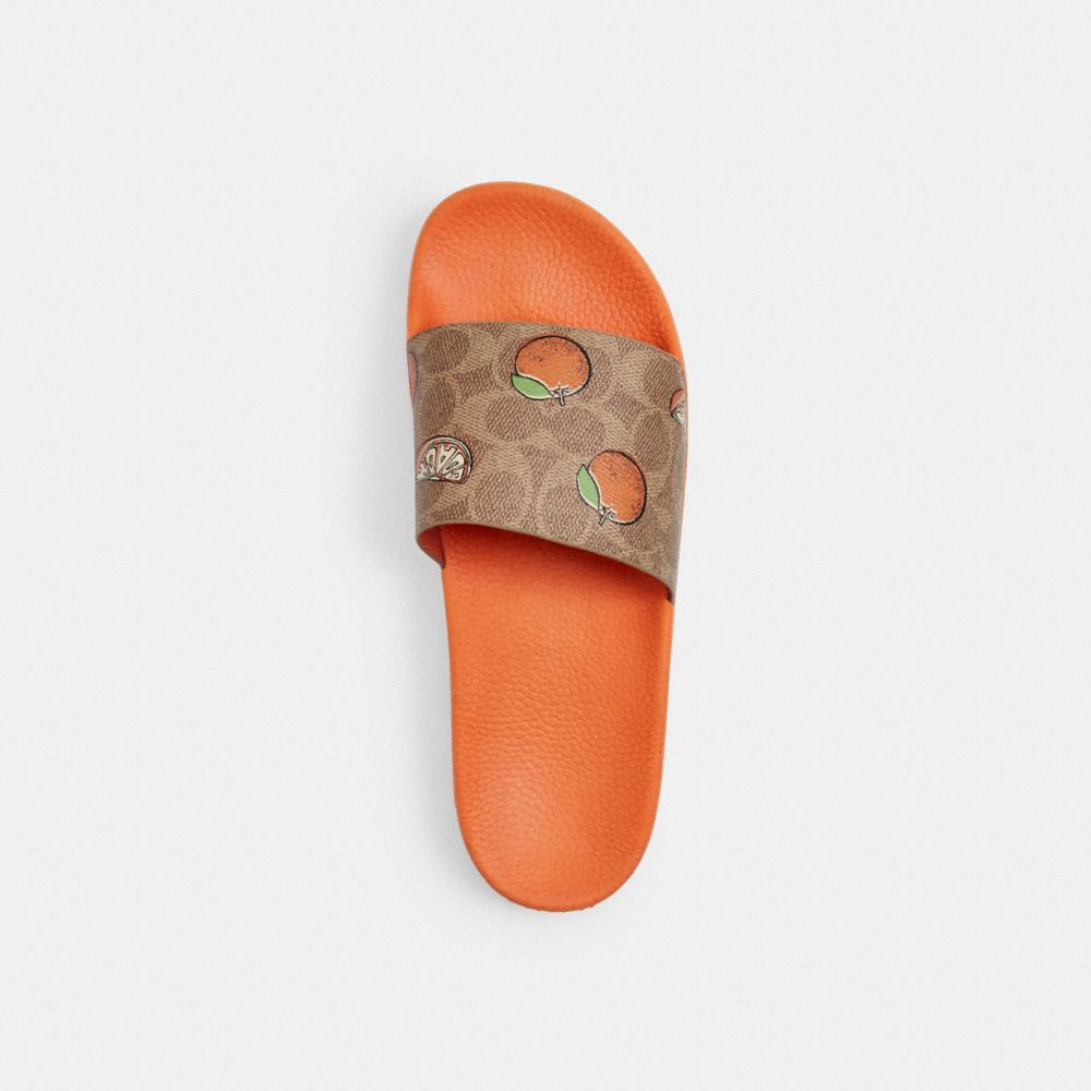 COACH®,Udele Sport Slide In Signature Canvas With Fruit Print,,Inside View,Top View