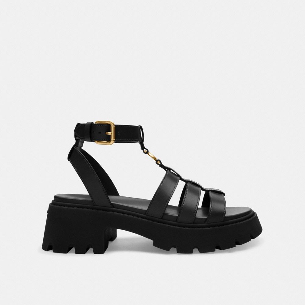 Coach In Black