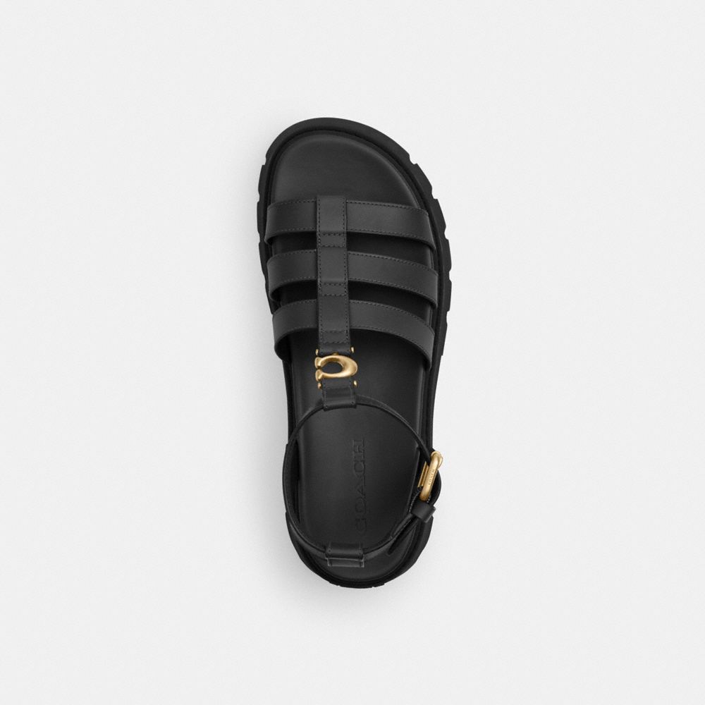 Coach In Black