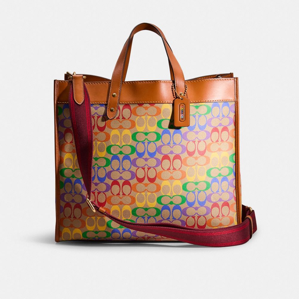 Coach Gallery Tote 2024 In Rainbow Signature Canvas