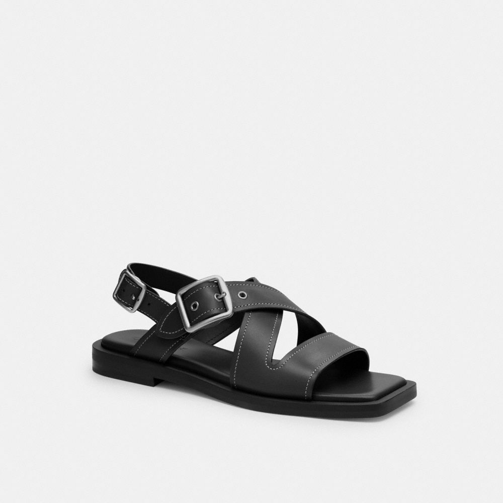 Coach In Black