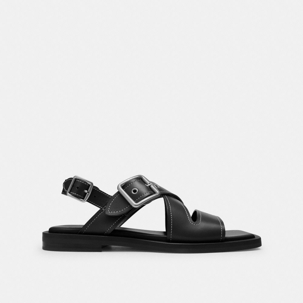 Coach In Black