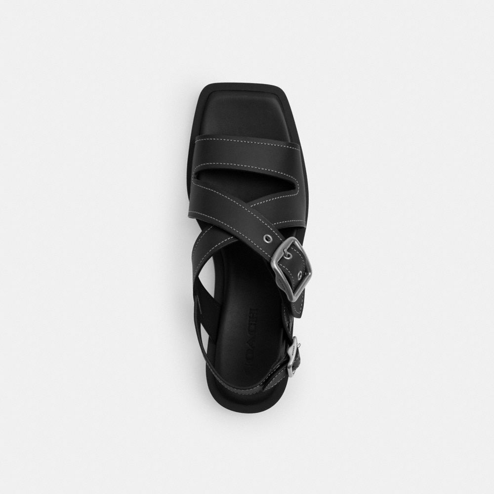 Coach In Black