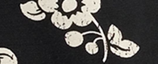 COACH®,Floral Printed Pants In Regenerative Cotton,