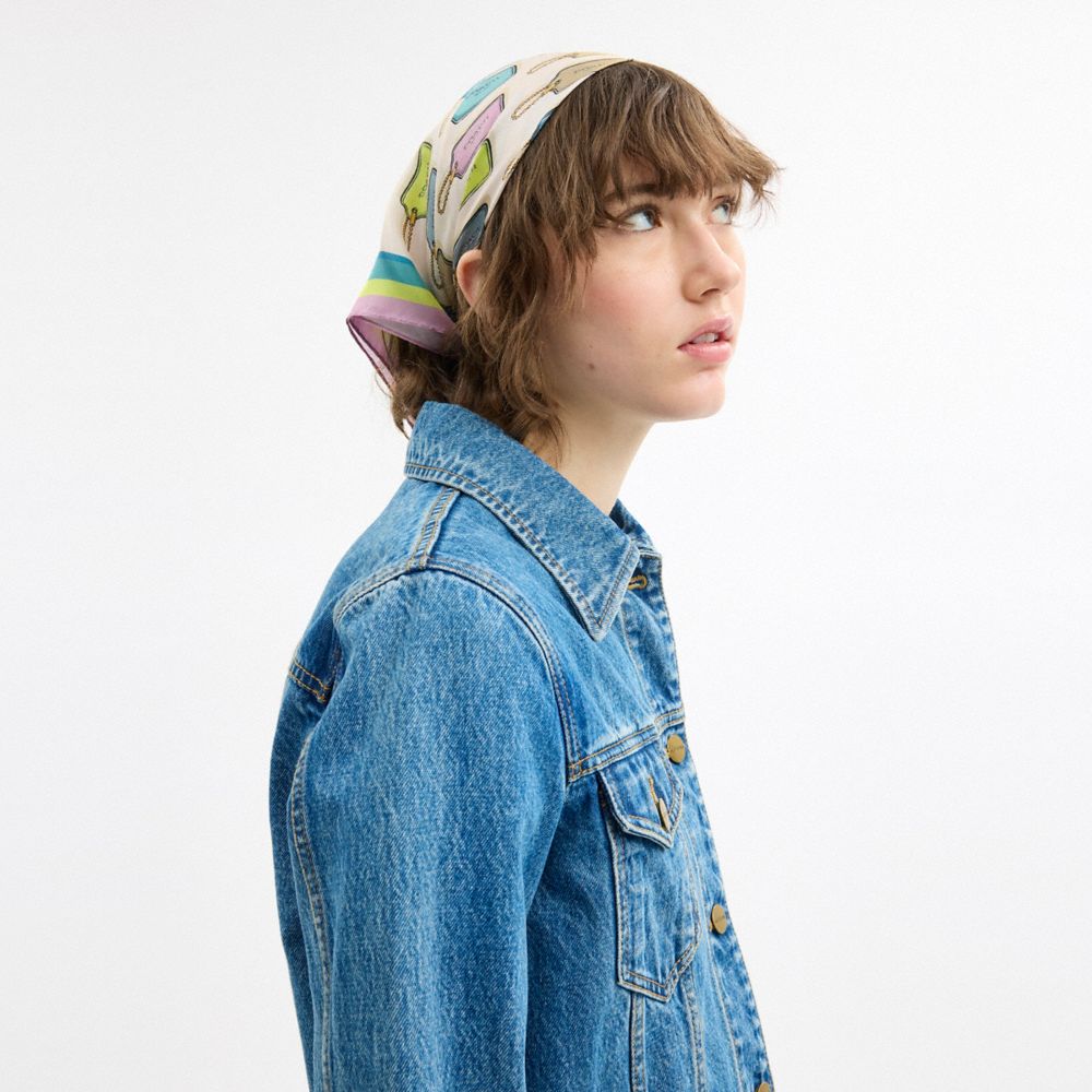 COACH®,Hangtag Print Silk Bandana,Silk,Neck Gaiter,Bandana,Stripe,Casual,Multi Color,Detail View