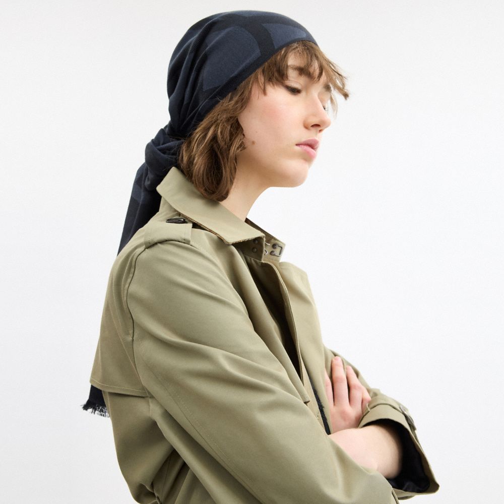 COACH®,Oversized Horse And Carriage Stole,Silk,Cotton,Rectangle,Frayed,Casual,Gray,Detail View