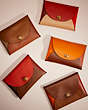 COACH®,REMADE COLORBLOCK LARGE POUCH,Leather,Mini,Pride,Brown/Multi,Group View
