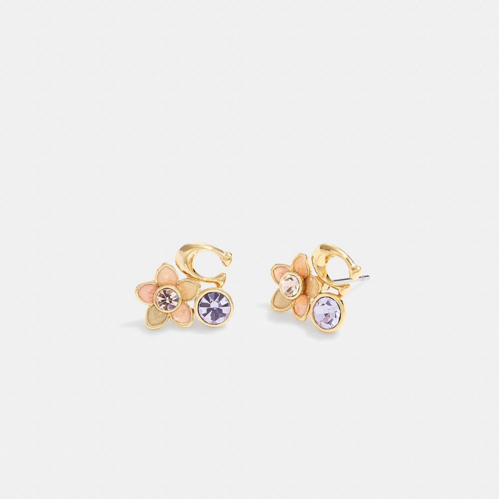 Transparent on sale stud earrings