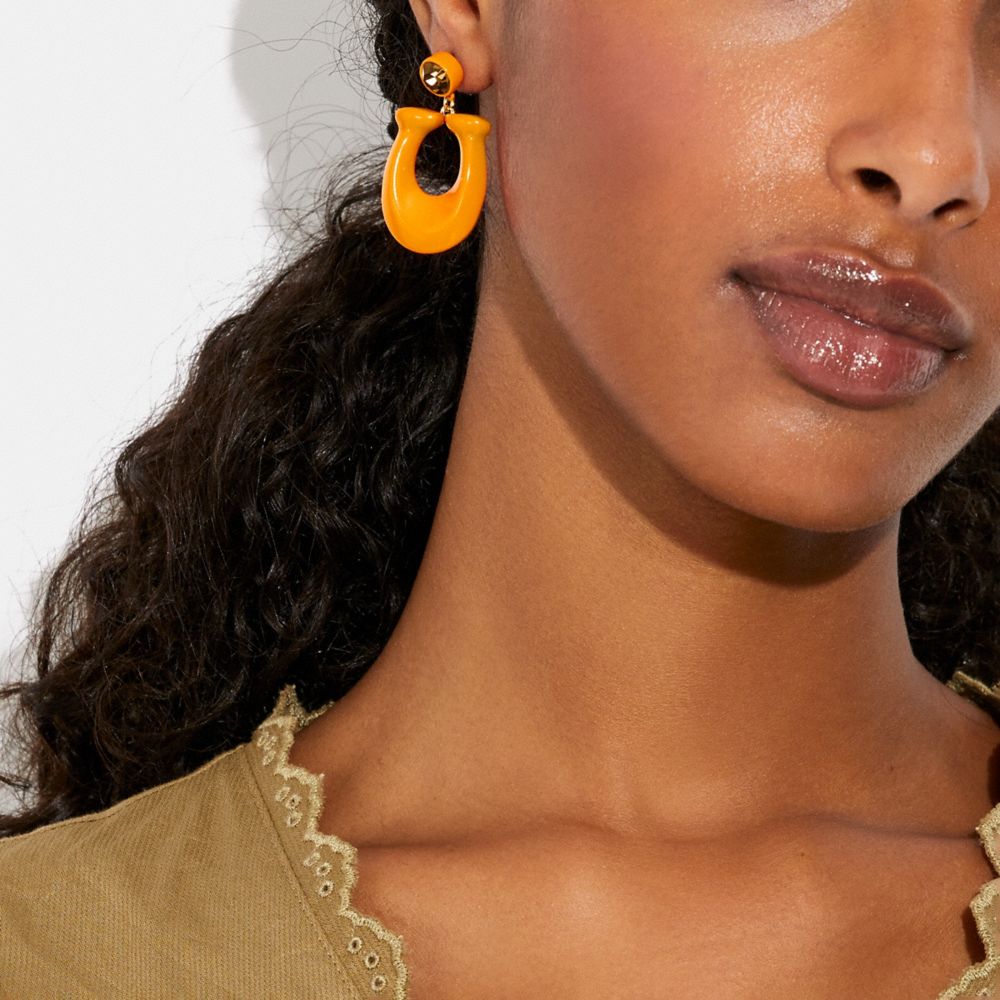 Large Signature Enamel Earrings