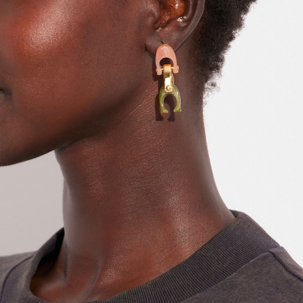 COACH®,Chunky Signature Link Drop Earrings,Dangle Earring,Resin,Logo,Brass,Titanium,,Detail View