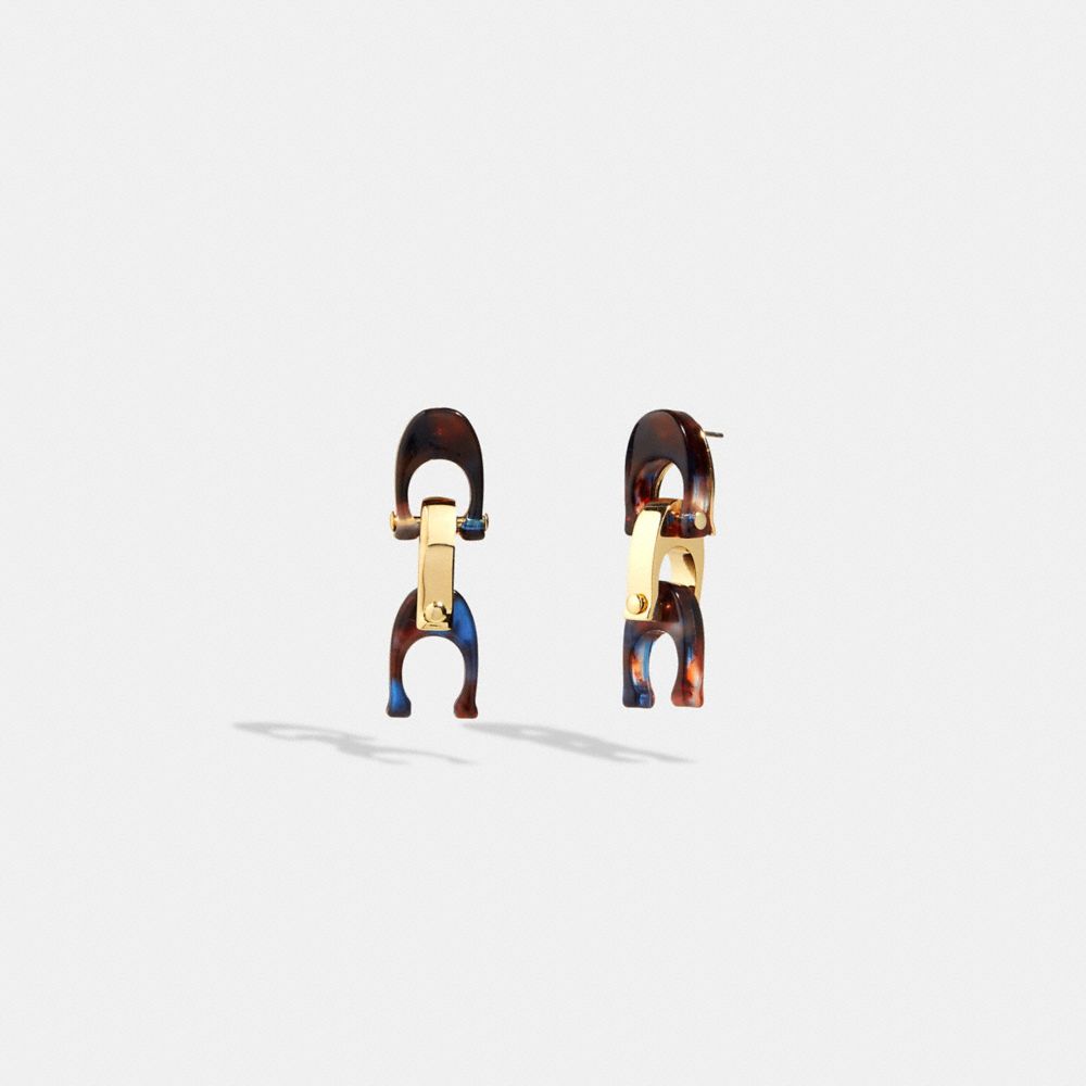 COACH®,Chunky Signature Link Drop Earrings,Dangle Earring,Resin,Logo,Brass,Titanium,,Front View