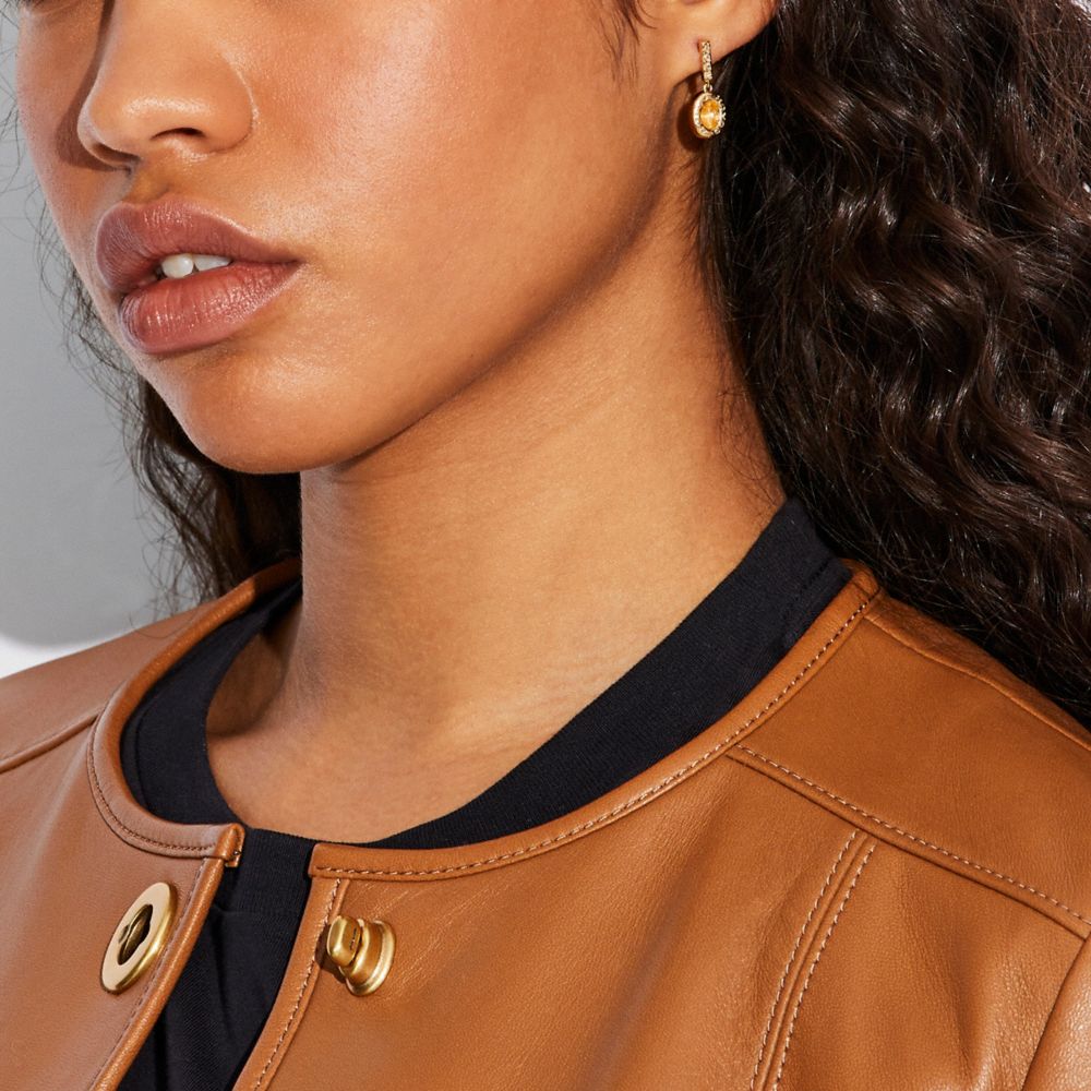 Crystal Drop Earrings