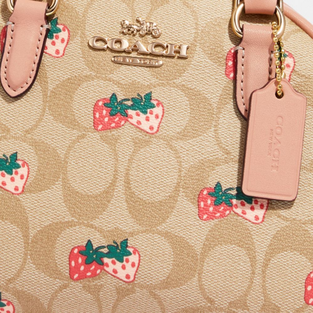 NWT Coach Sydney Satchel In Signature Canvas With Strawberry Print