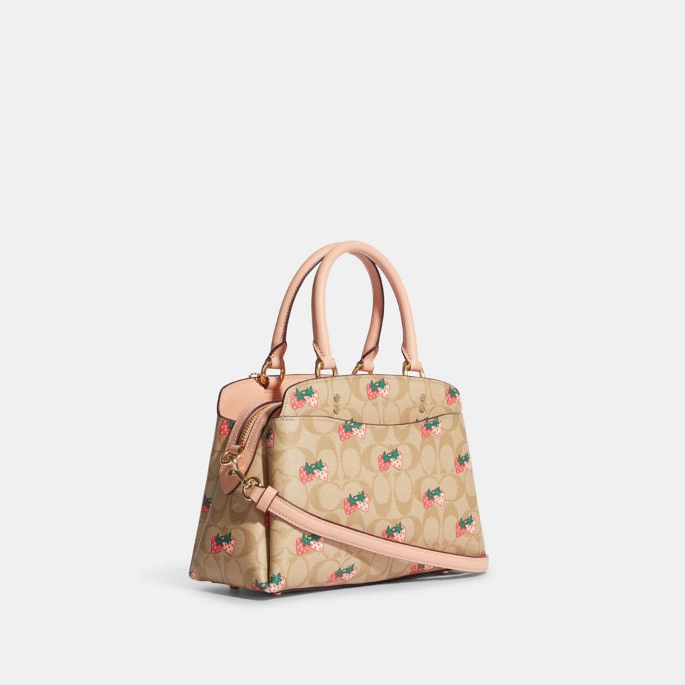 strawberry coach purse🍓👀❤️, Gallery posted by lily💖