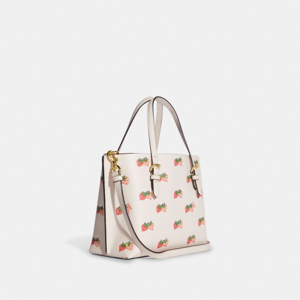 Shop the new 2023 Coach strawberry purse collection