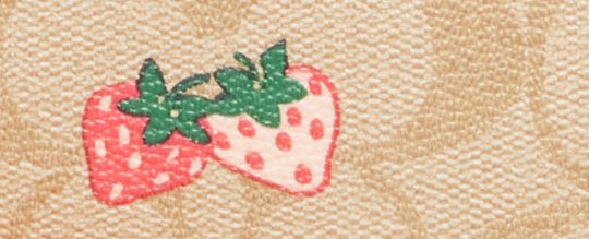COACH®  Nolita 15 With Strawberry Print