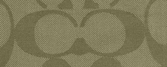 COACH®,ÉTOLE EXCLUSIVE,Soie,Olive,Front View