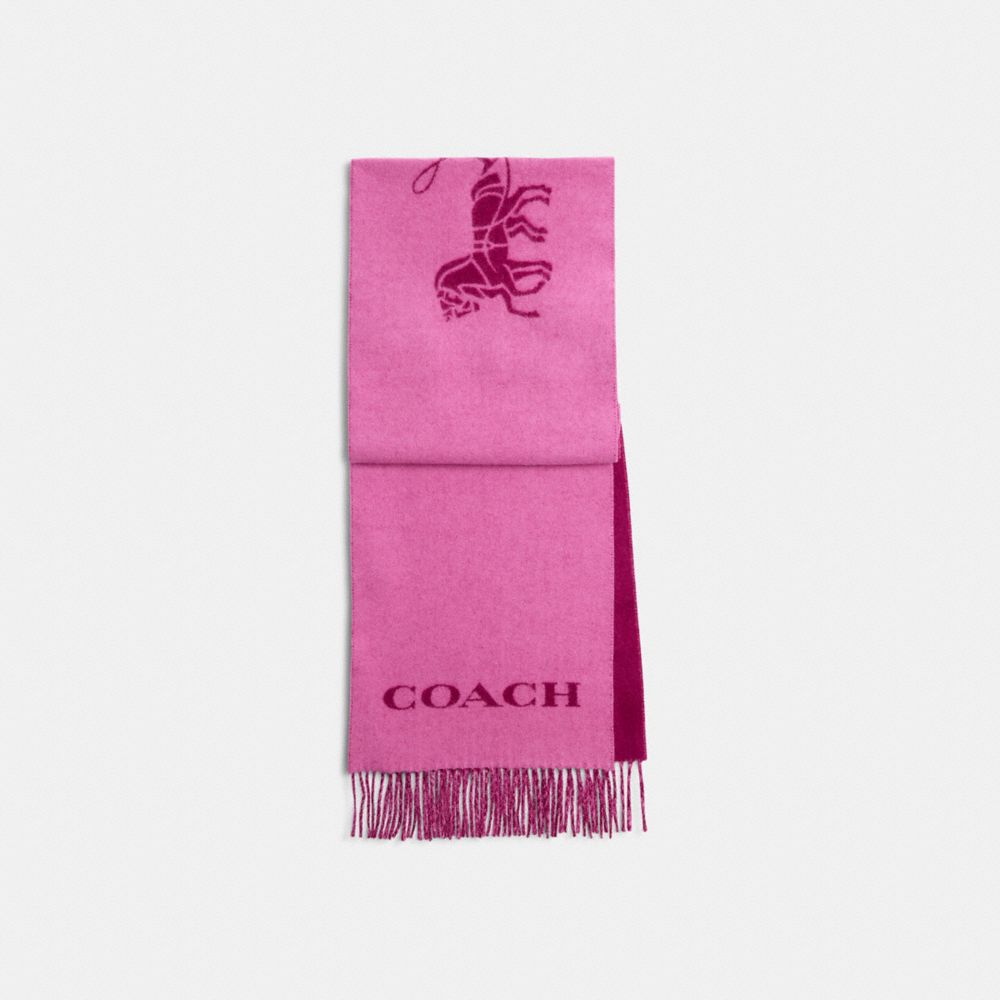 Shop Coach Outlet Horse And Carriage Cashmere Muffler In Purple