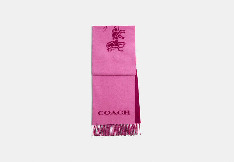 COACH®,HORSE AND CARRIAGE CASHMERE MUFFLER,cashmere,Deep Plum,Front View