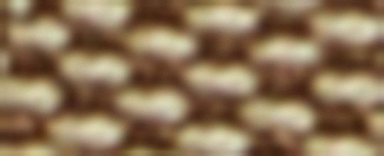 激レア✨未使用級✨COACH シグネチャー ハット レア スタッズ 刺繍 激レア✨未使用級✨COACH シグネチャー ハット レア スタッズ 刺繍