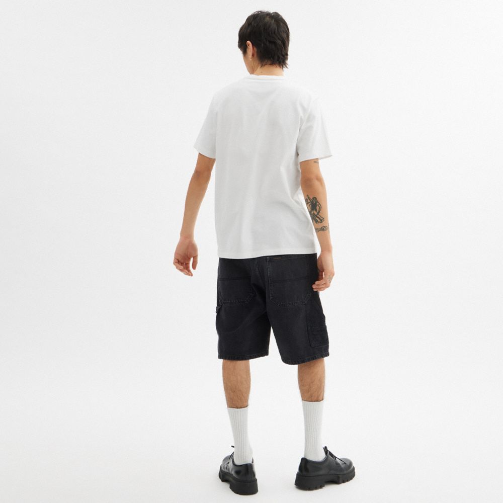 Coach In White