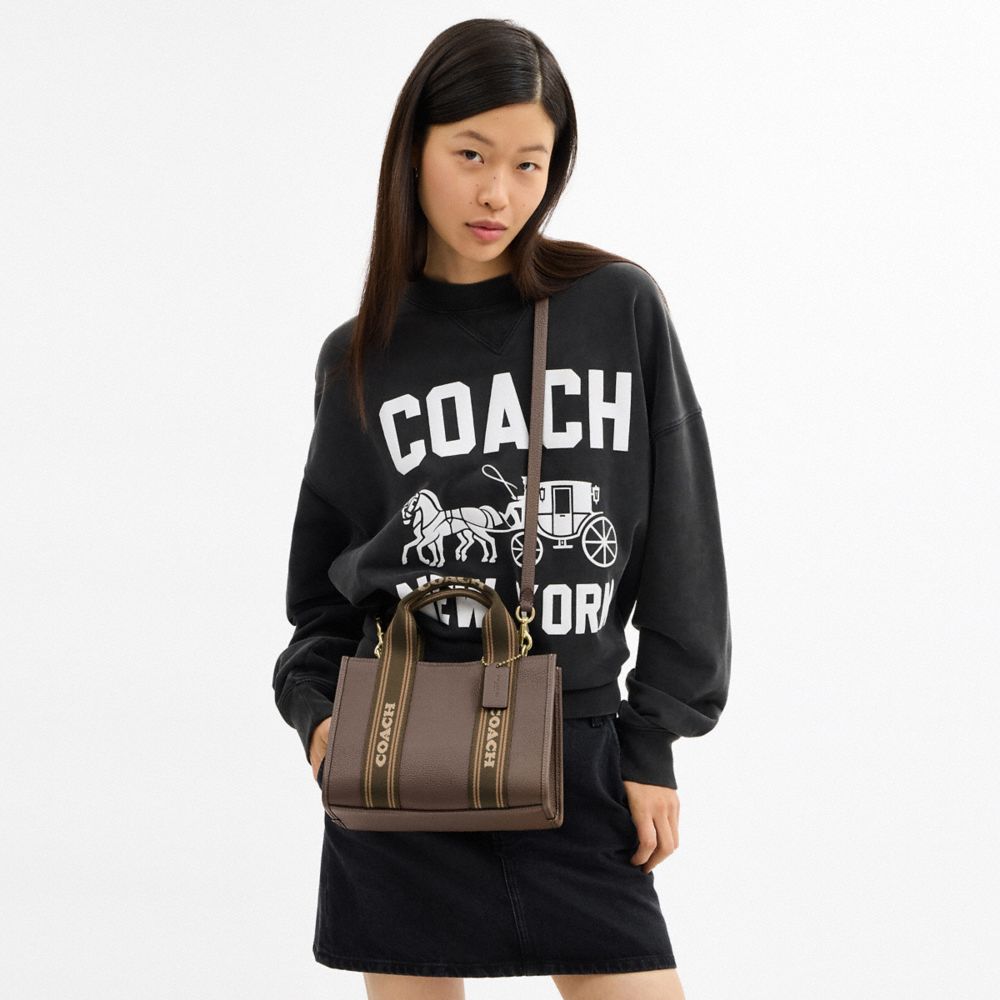 COACH®,Smith Tote Bag 24,Leather,Tote,Stripe,Casual,Brown,Detail View