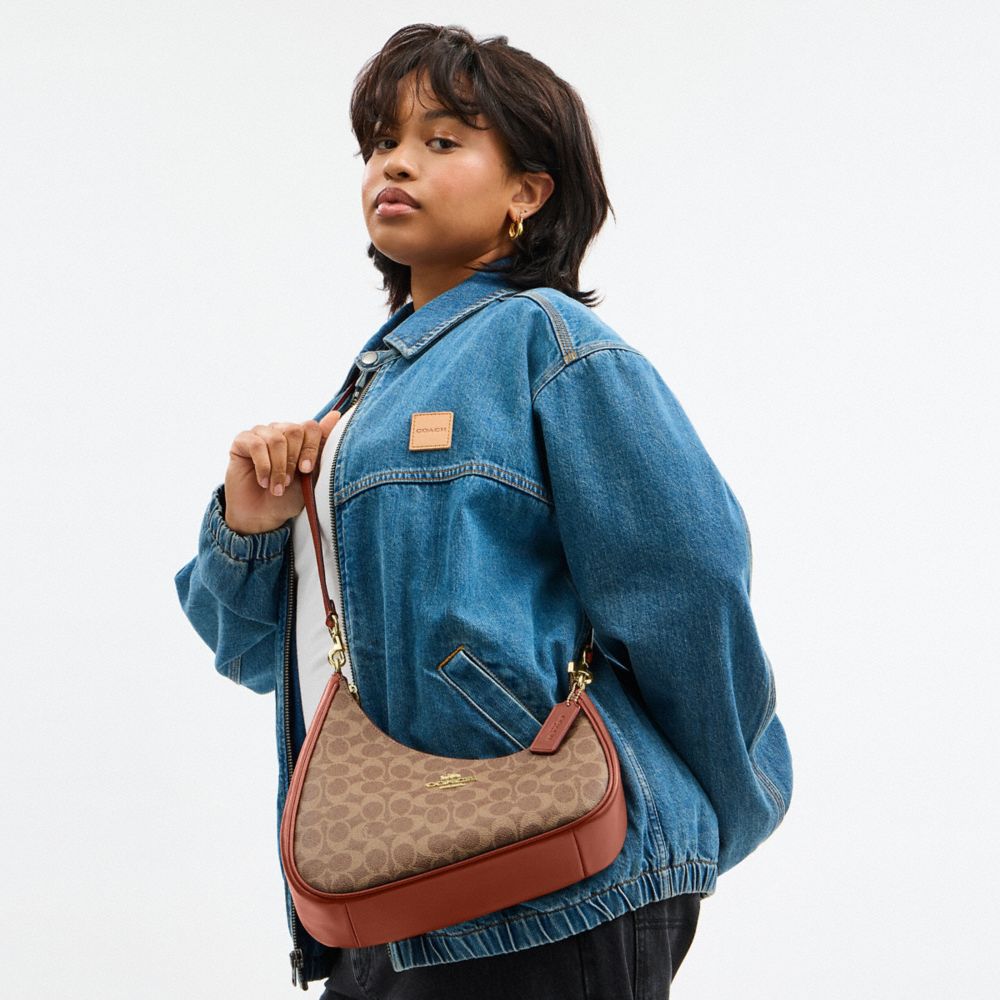 COACH®,Twisted Teri Shoulder Bag In Signature Canvas,