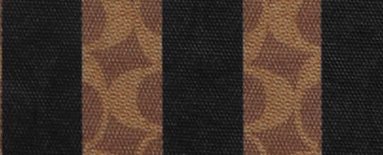 COACH®,Large City Tote Bag In Signature Canvas With Stripe,