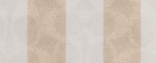 COACH®,Large City Tote Bag In Signature Canvas With Stripe,