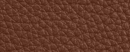 COACH®,Card Case,
