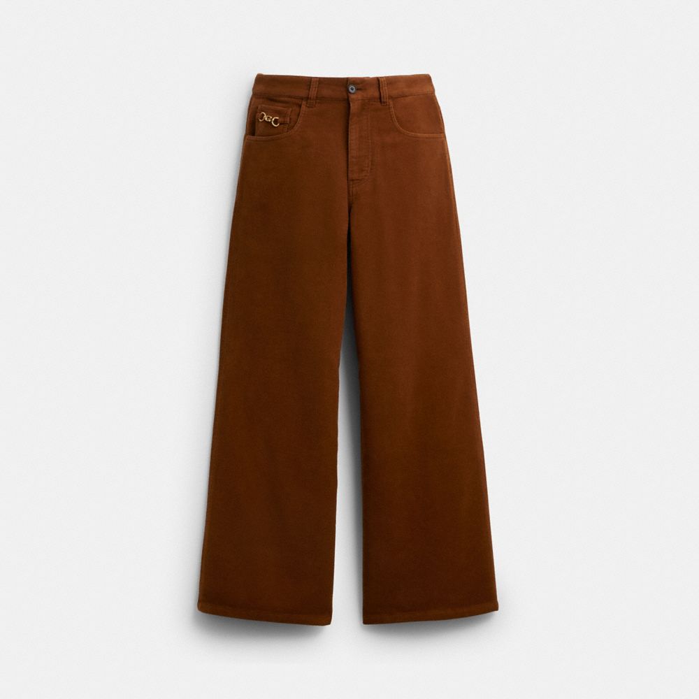Coach Moleskin Pants In Brown