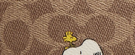 COACH®,Coach X Peanuts Teri Shoulder Bag In Signature Canvas With Snoopy Print,