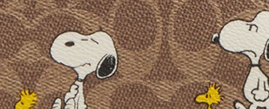 COACH®,Coach X Peanuts City Tote Bag In Signature Canvas With Snoopy Print,