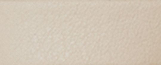 COACH®,Trigger Snap Bag Charm With Shell Print,,Front View