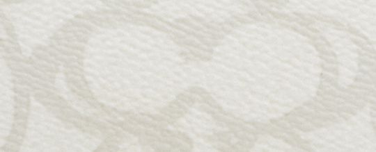 COACH®,Nolita 19 In Sketch Signature Canvas,