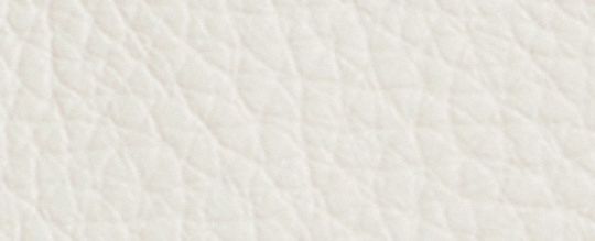 COACH®,Coach X Peanuts Nolita 19,
