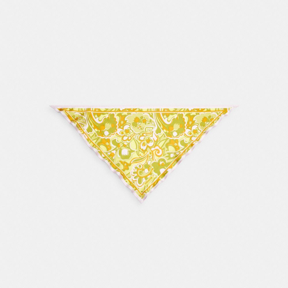 Coach Andrea Paisley Print Silk Triangle Scarf In Multi