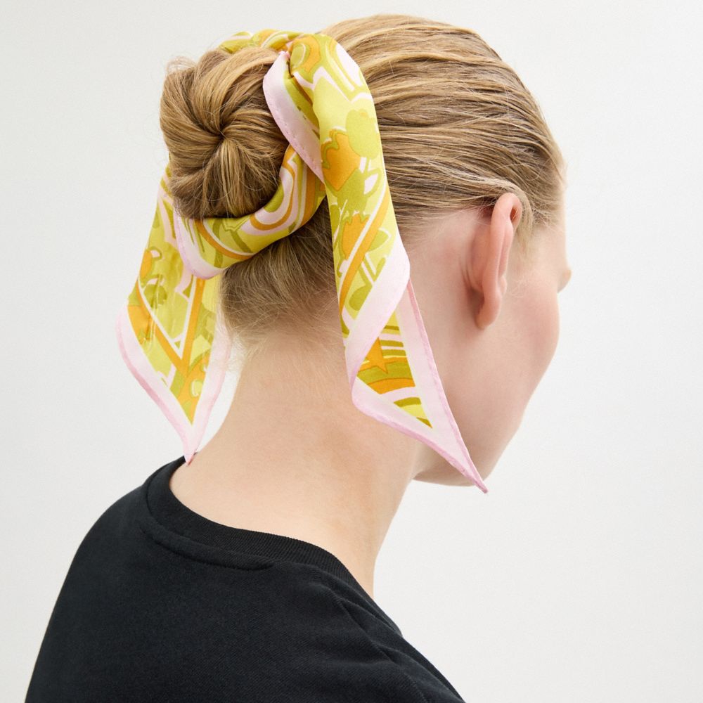 Coach Andrea Paisley Print Silk Triangle Scarf In Multi